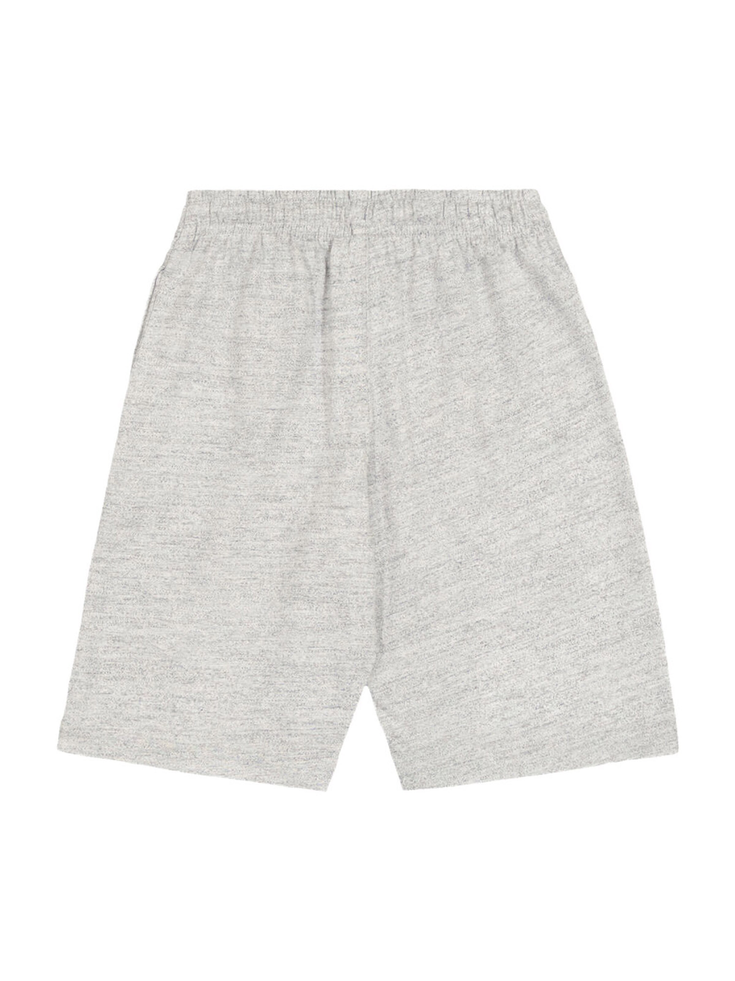 Champion Authentic Athletic Apparel Pants in Grey: front