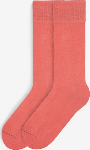 Von Jungfeld Socken 'Signature' in Orange: Vorderseite