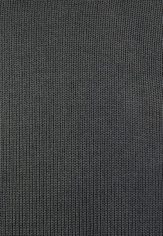 Cleptomanicx Pullover 'Double' in Grau