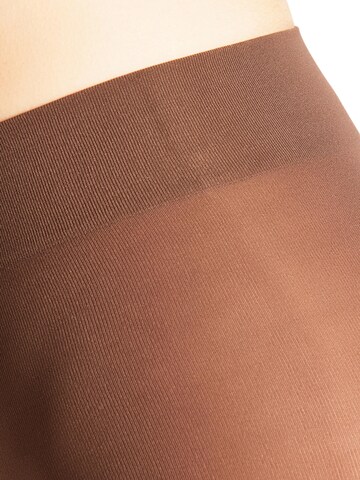 FALKE Strumpfhose 'Pure Matt'‌‌‌‌‌‌ in Braun