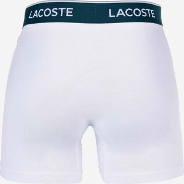 Boxers LACOSTE en gris