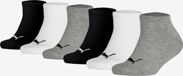 PUMA Socks in Grey: front