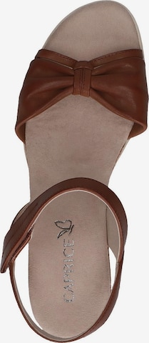 CAPRICE Sandals in Brown