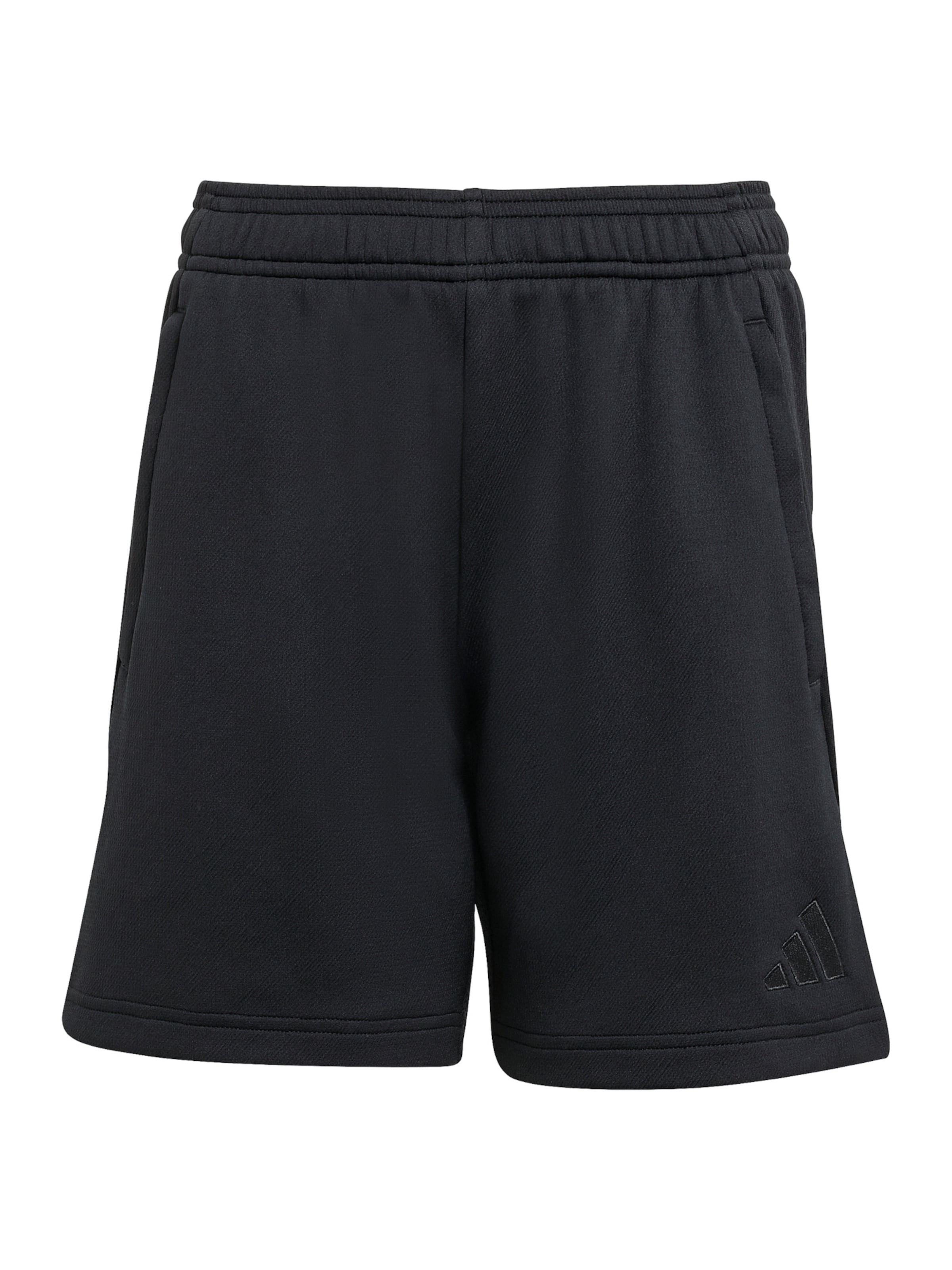 ADIDAS PERFORMANCE Regular Urheiluhousut värissä musta: etupuoli