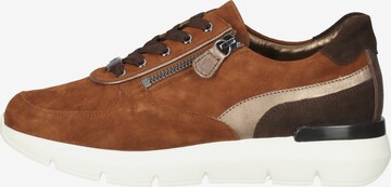 HASSIA Sneakers in Brown