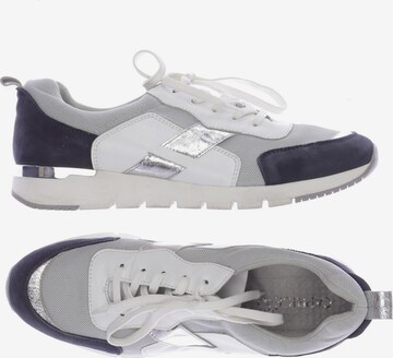 CAPRICE Sneakers & Trainers in 42 in Grey: front
