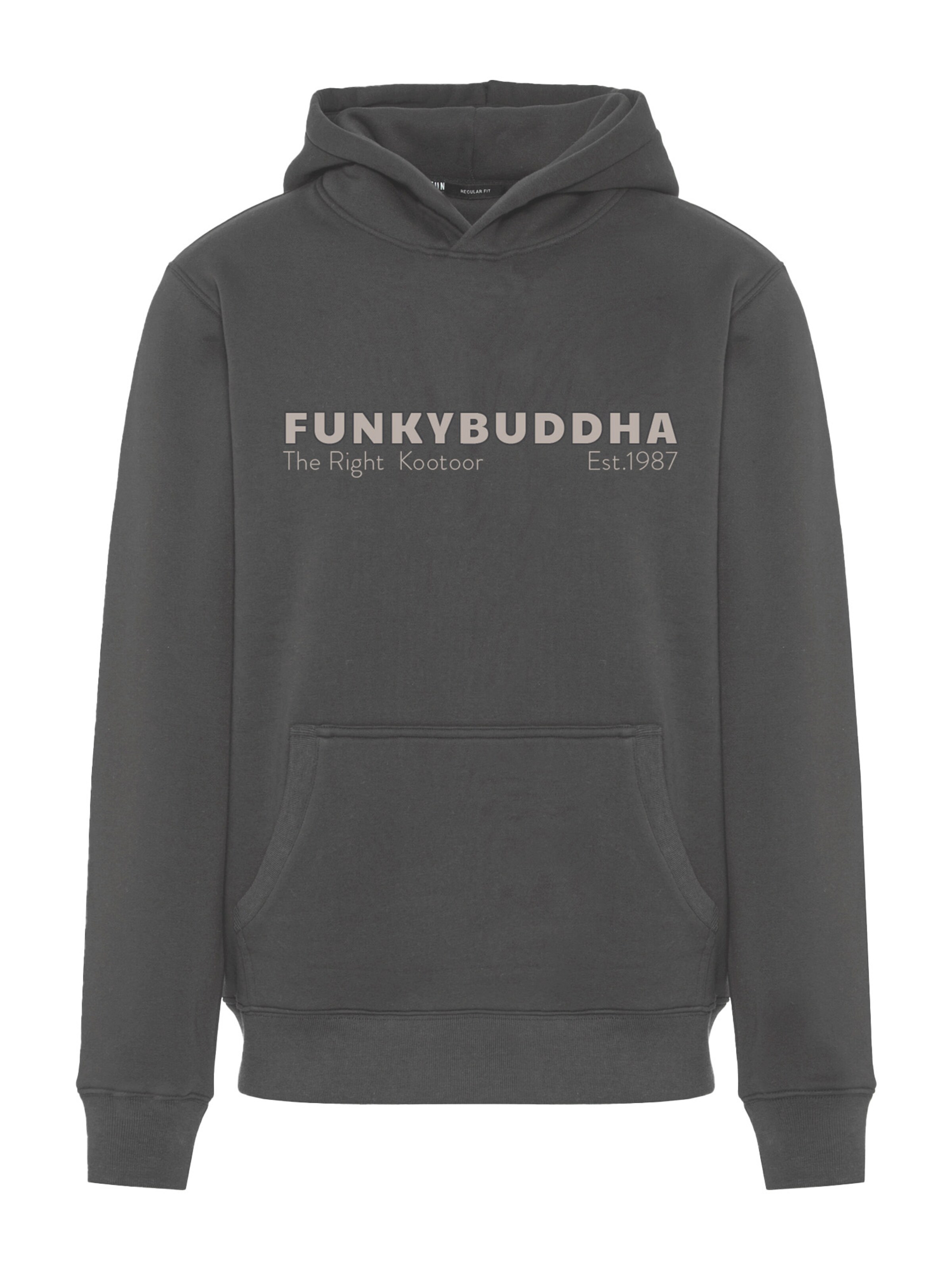 Funky Buddha Sweatshirt in Grijs: voorkant