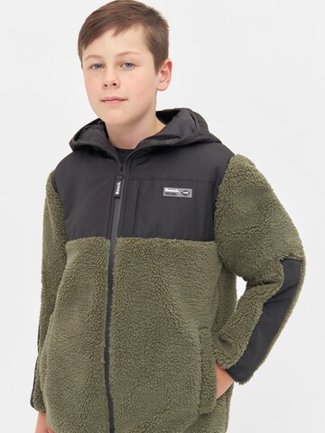 Veste en polaire 'Walken' BENCH en vert