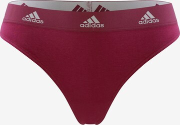 Sous-vêtements de sport ADIDAS SPORTSWEAR en rouge