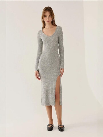 Hiccup Kleid in Grau