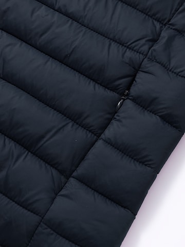 ALLTHEMEN Vest 'Stichlinie' in Blue