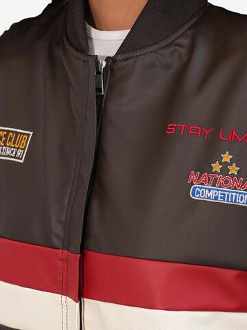 Bigdart Between-Season Jacket in Mixed colors