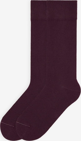 Von Jungfeld Socks 'Signature Innenbund' in Red: front