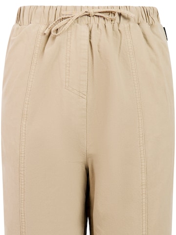 PROTEST Regular Trousers 'PRTOlympic' in Brown