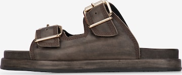 Haboob - Zapatos abiertos 'Mag' en marrón: frente