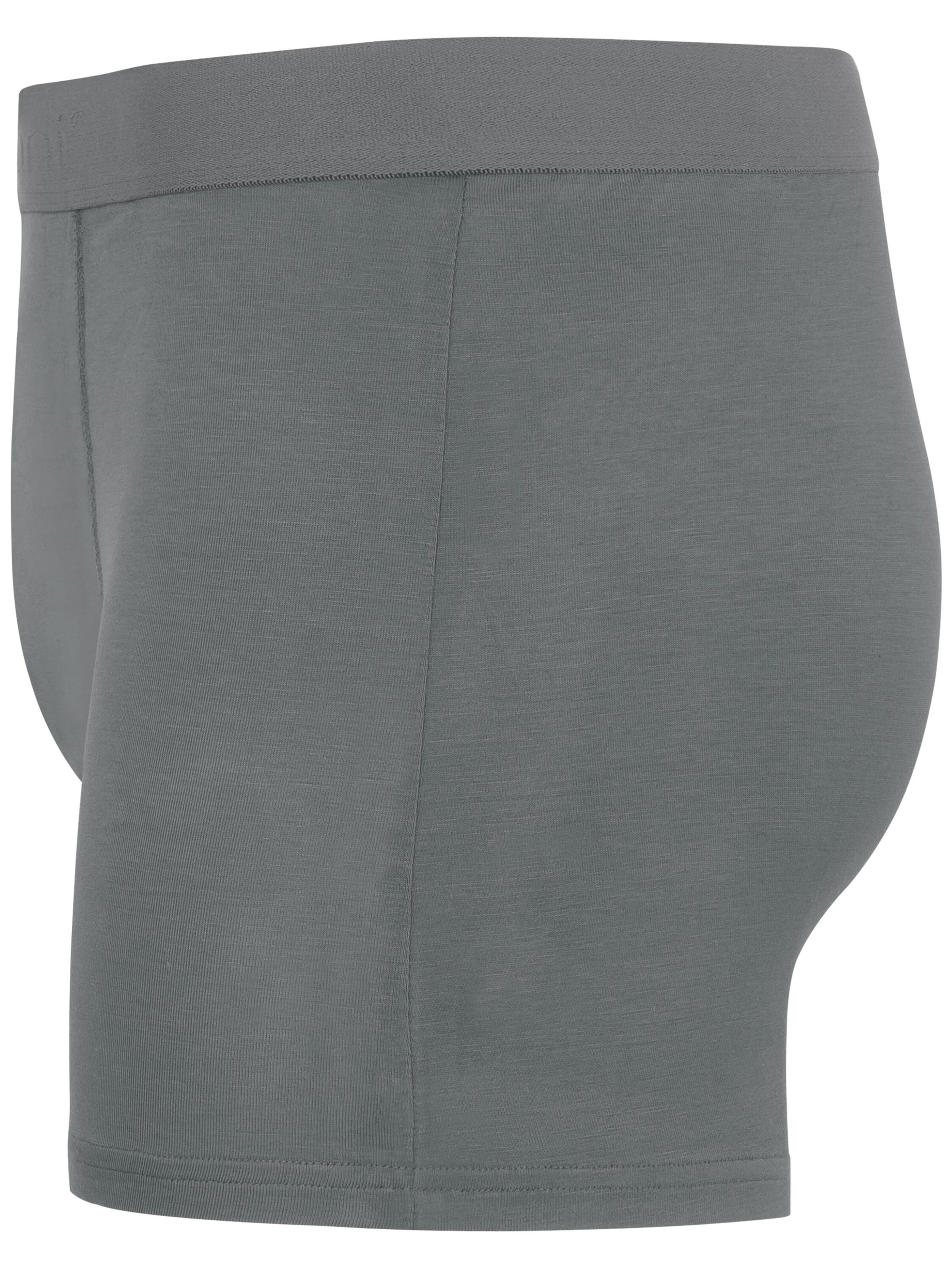 Boxers normani en gris