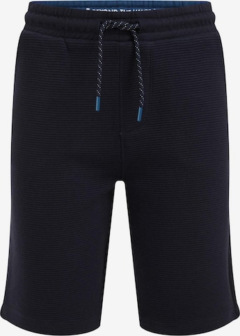 WE Fashion Regular Trousers in Blue: front