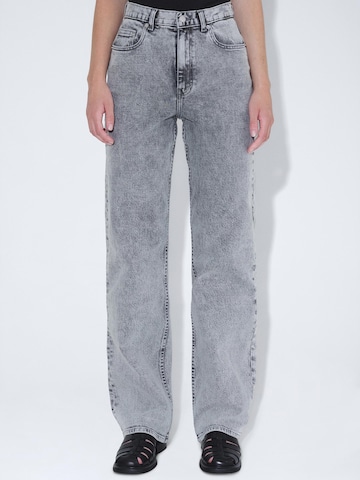 Dr. Denim Regular Jeans 'Echo High Straight' in Grey