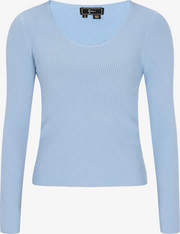 faina Sweater 'Fashion Look' in Blue: front
