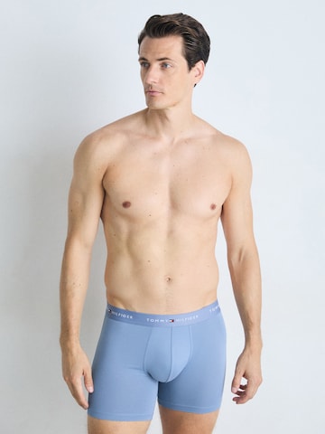 Tommy Hilfiger Underwear Bokserki w kolorze niebieski