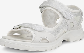 ECCO Hiking Sandals in Silver: front