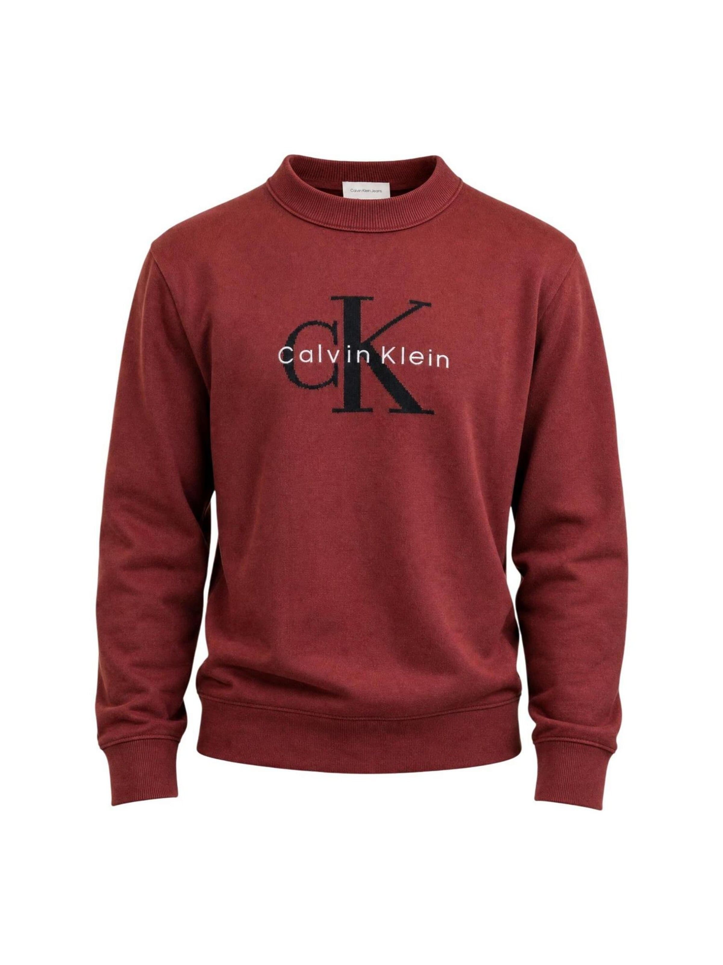 Sweat-shirt Calvin Klein Jeans en marron : devant