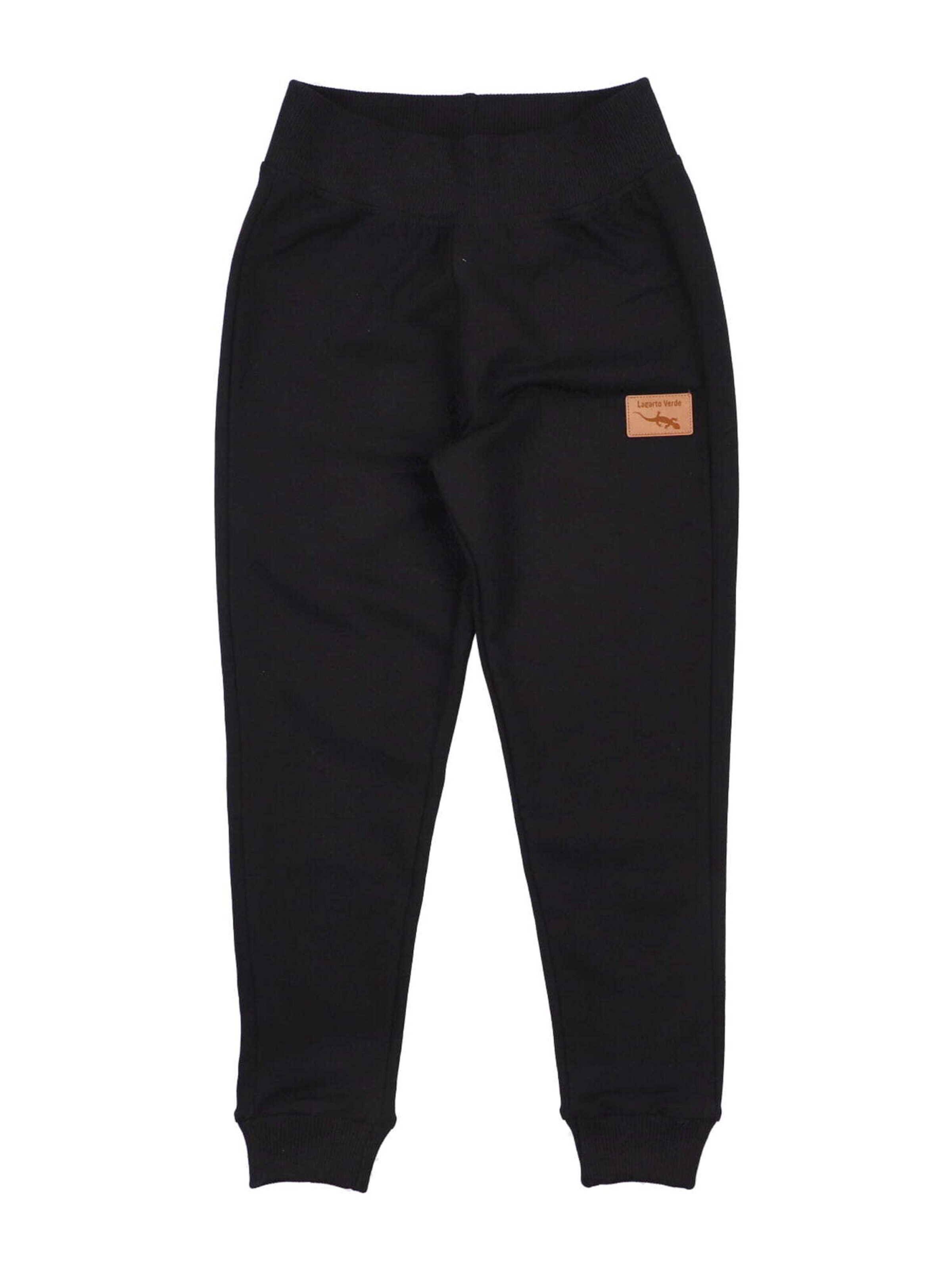 Regular Pantalon de sport Lagarto Verde en noir : devant