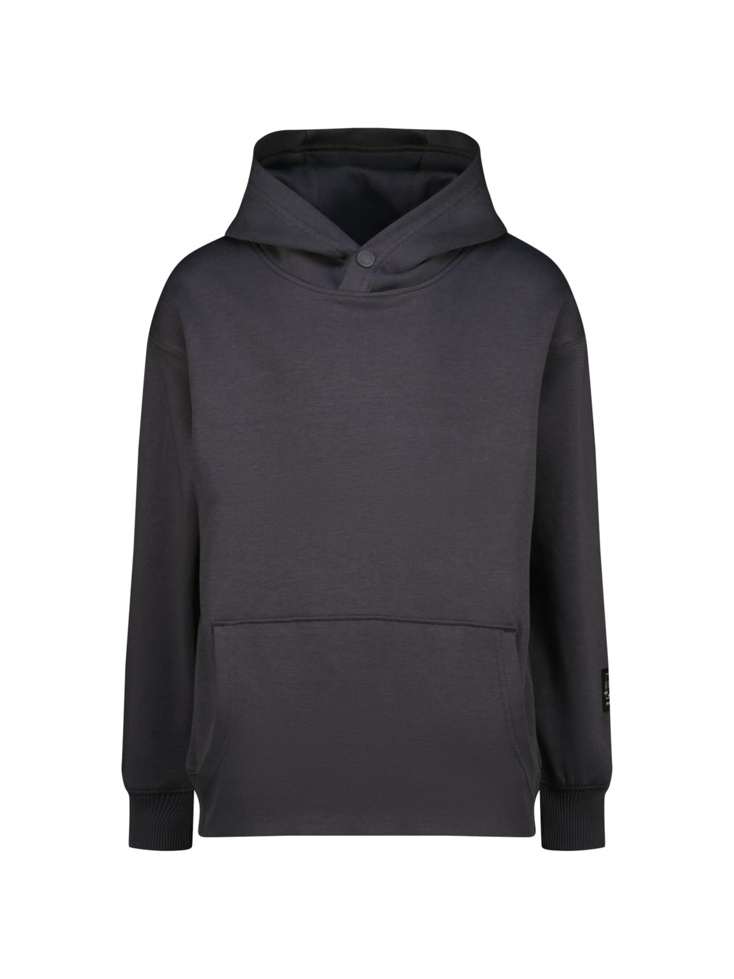 Raizzed Sweatshirt in Grijs: voorkant