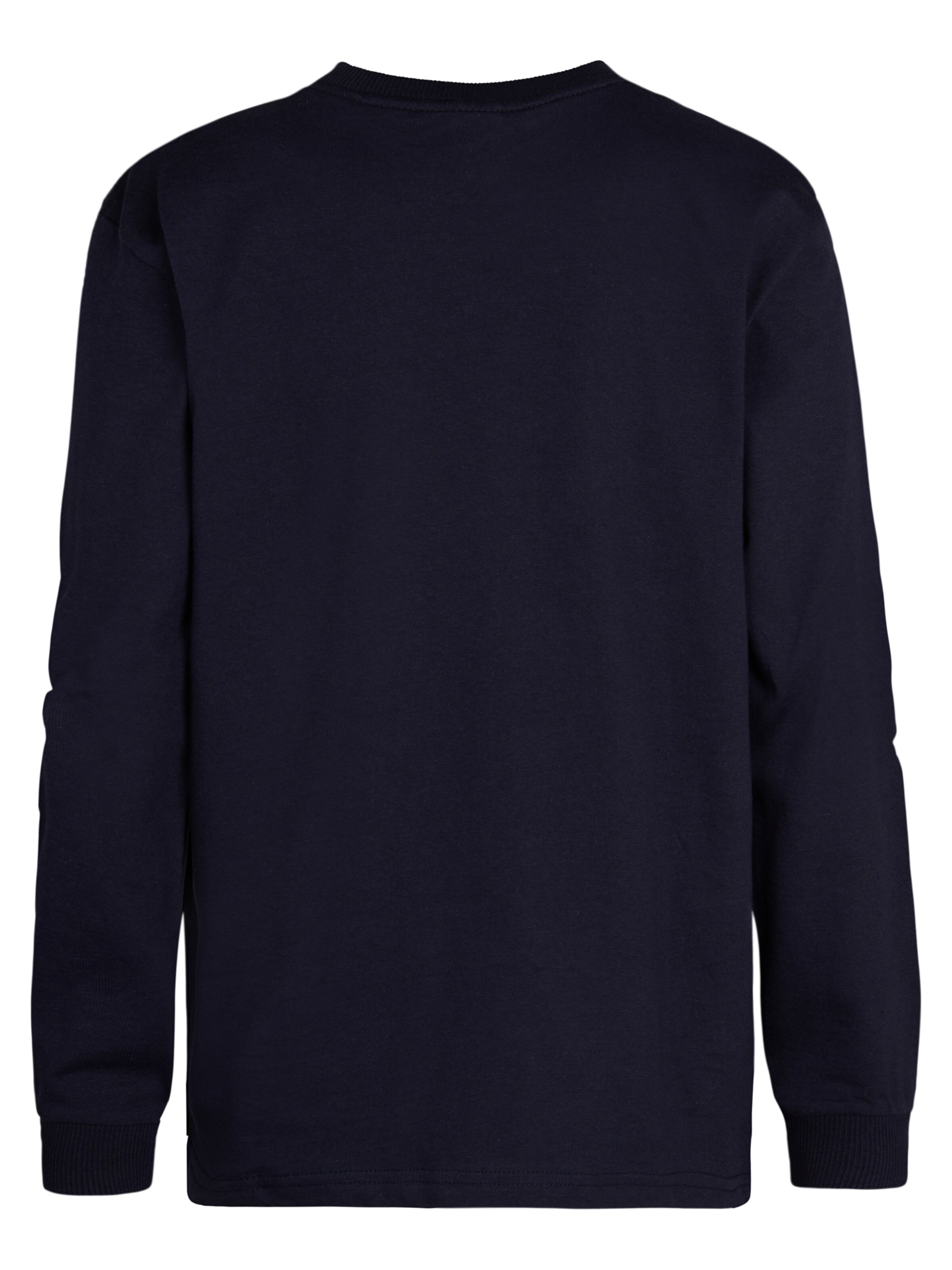 Petrol Industries Shirt in Blauw