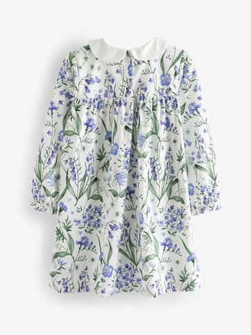 Next Nightgown in Mixed colours