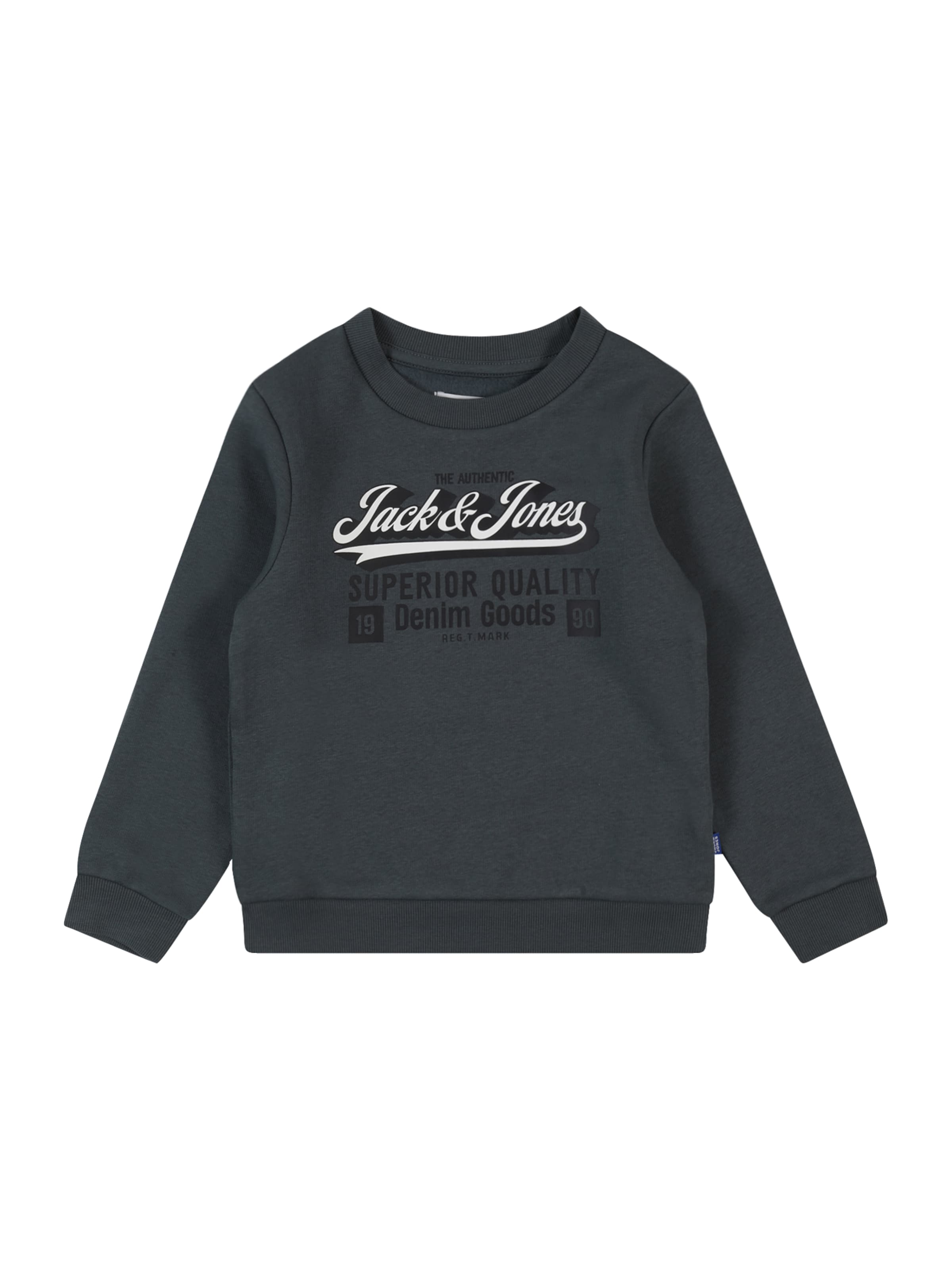 JACK & JONES MINI Sweatshirt in Grey: front