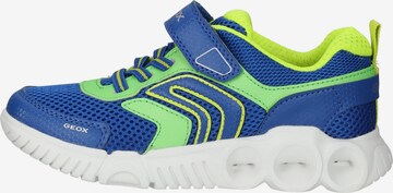 GEOX Sneakers in Blauw