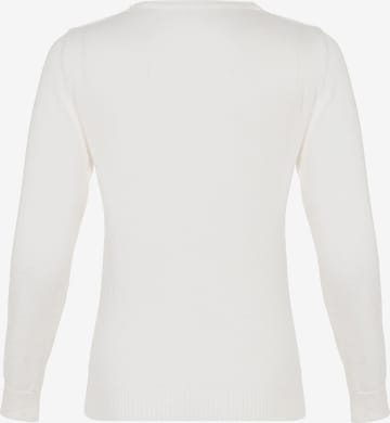 CIPO & BAXX Sweater in White