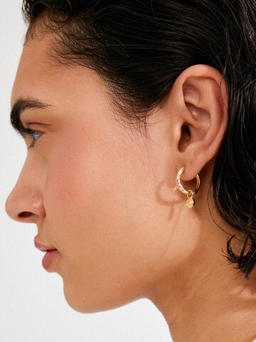 Pilgrim Обеци 'Fire' в злато