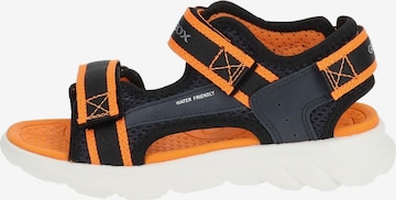 GEOX Sandale in Orange