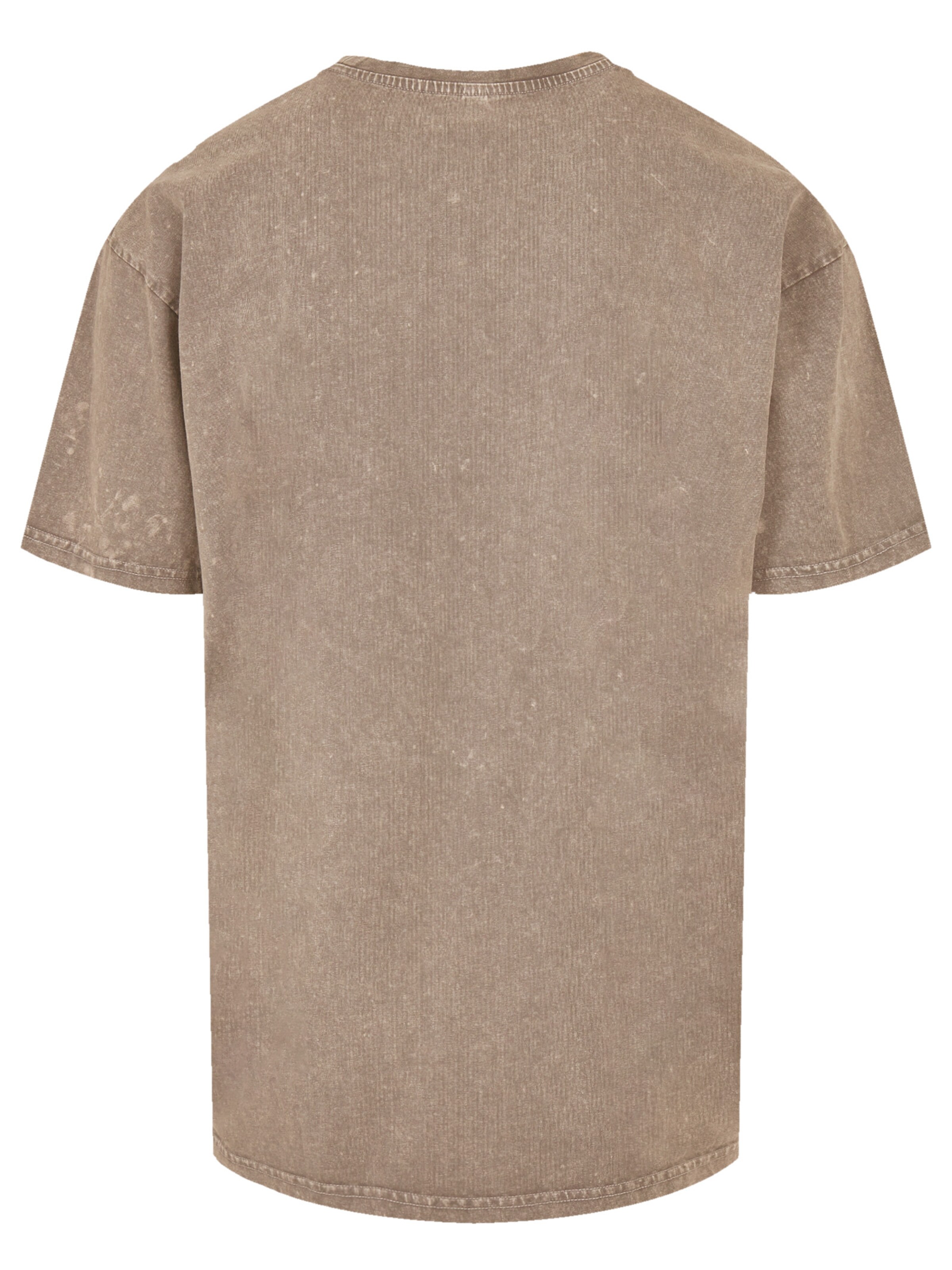 F4NT4STIC Shirt in Brown