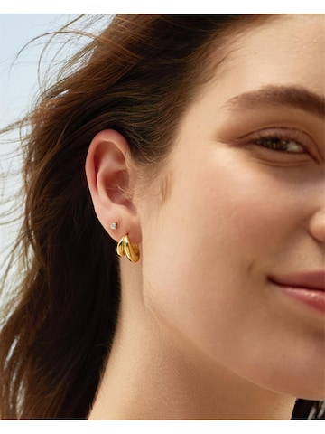 ANIA HAIE Ohrringe in Gold
