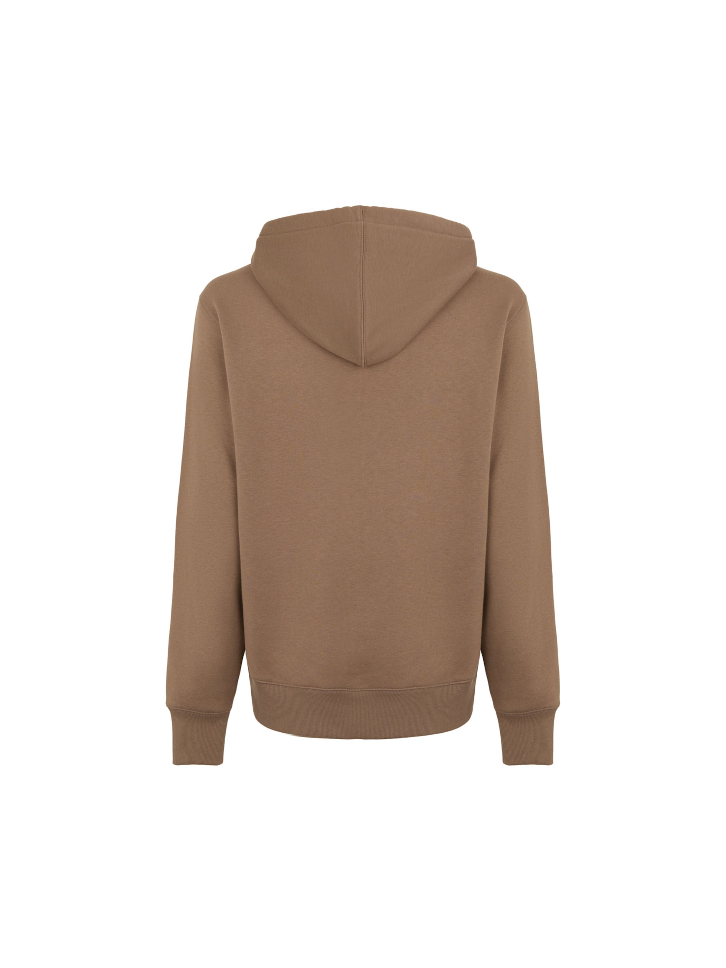 DICKIES Суичър 'SUMMERDALE' в кафяво