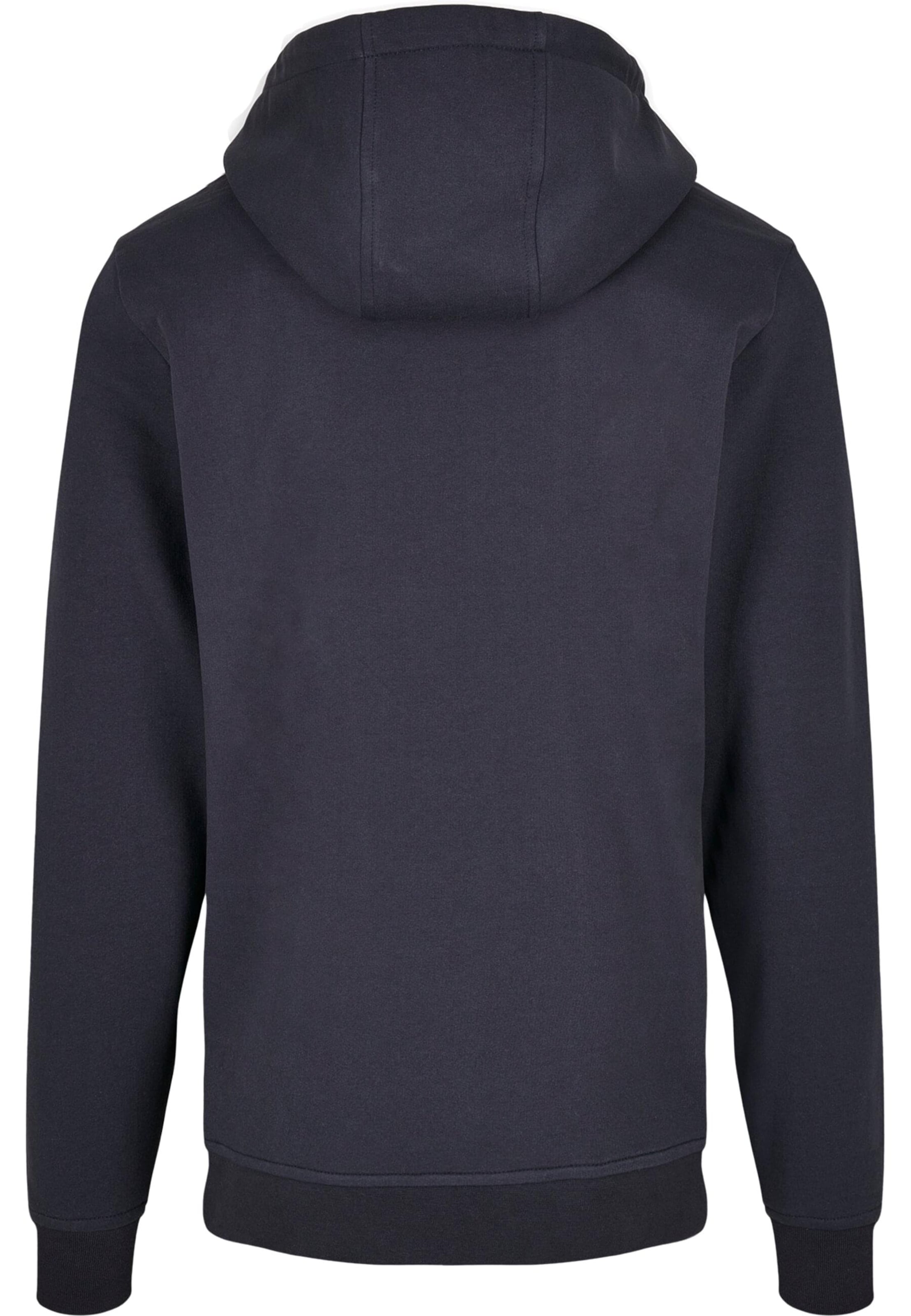 ABSOLUTE CULT Sweatshirt 'Harry Potter - Buckbeat' in Blau