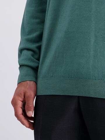 PIERRE CARDIN Trui in Groen