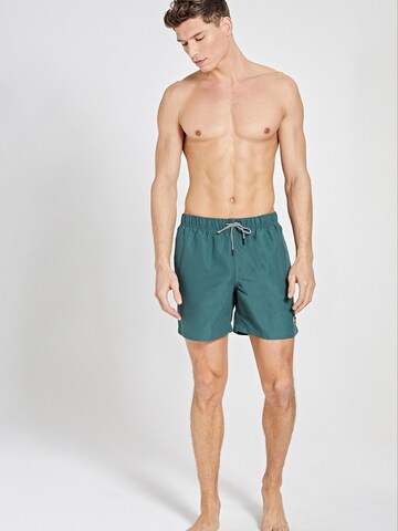 Shiwi Board Shorts 'Mike' in Green