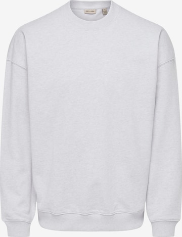 Only & Sons Sweatshirt 'ONSLucas' in Grau: Vorderseite