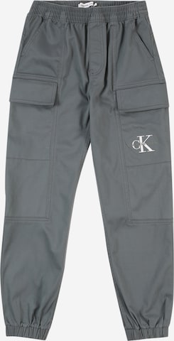 Calvin Klein Jeans Штаны 'ESSENTIAL' в Серый: спереди