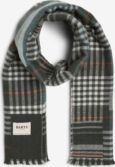 Barts Scarf ' Castanea ' in Khaki, Item view