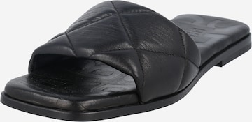 SHABBIES AMSTERDAM Mules in Black: front