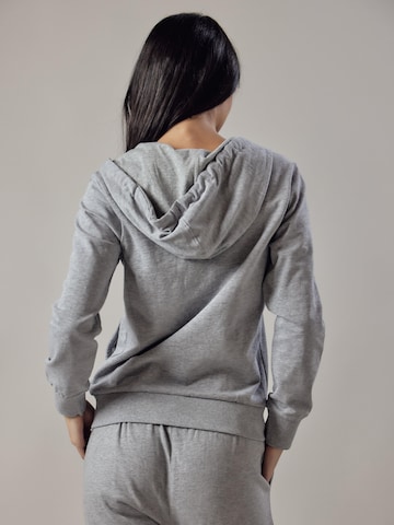Felpa 'Felpa con Cappuccio e Zip' di OWN Off With Nature in grigio