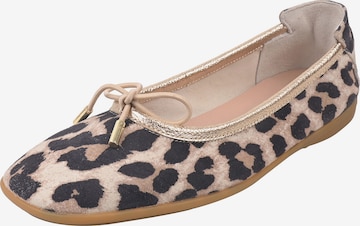 Ballerines ' OMEGA ' Crickit en beige : devant