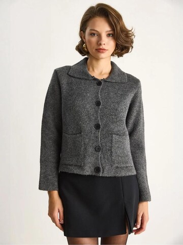 Bianco Lucci Strickjacke in Grau: Vorderseite