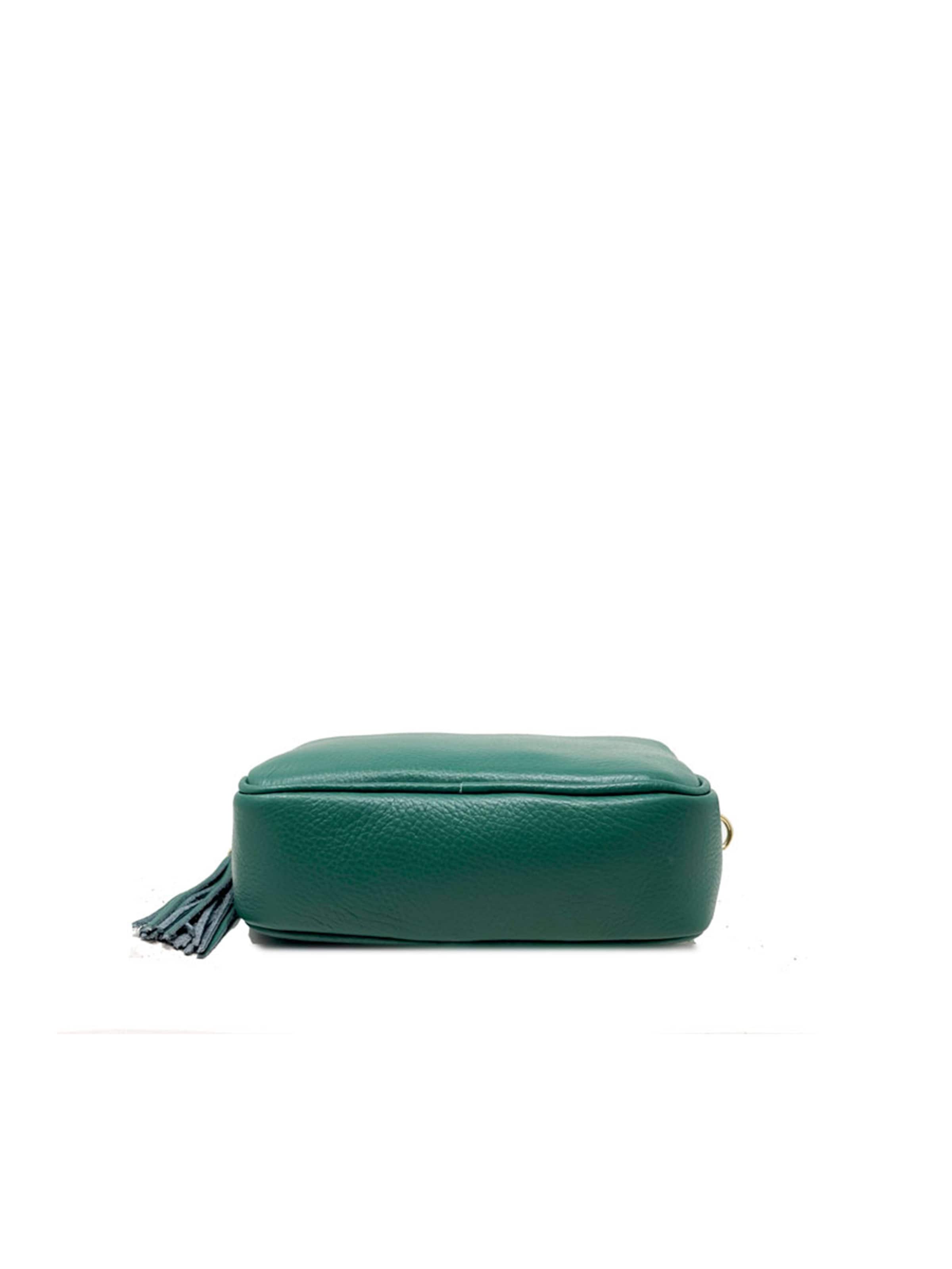 CHICCA BORSE Crossbody Bag in Green