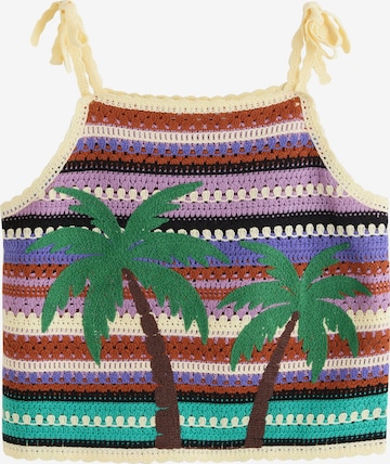 Next Knitted top in Mixed colours: front